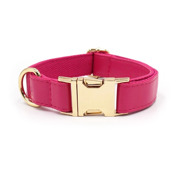 rose red best leather dog collars